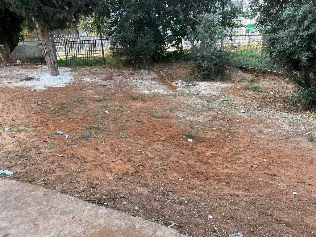 WhatsApp Image 2023-02-25 at 10.49.04 AM (1).jpeg